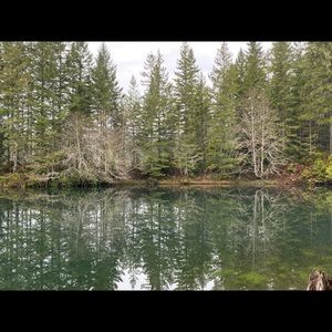 Meet your Posher, Lloyd